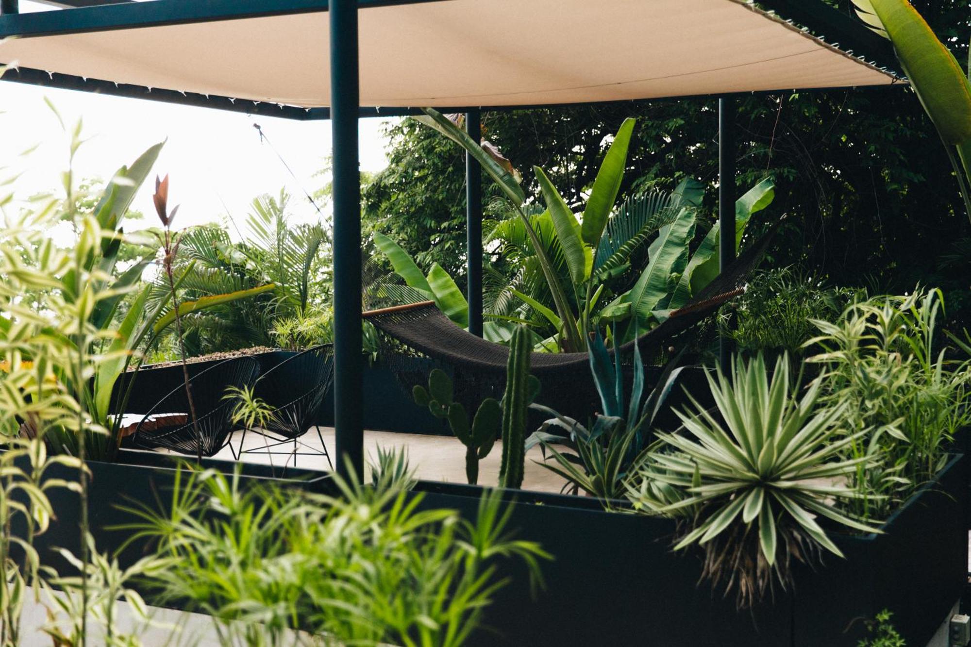 Mint Santa Teresa - Adults Only Hotel Playa Santa Teresa  ภายนอก รูปภาพ